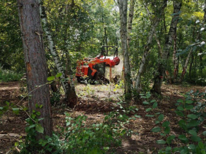 How to Use Forestry Mulching to Maintain Your Commercial Property?