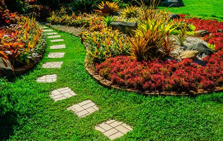 Landscaping Company SW, Florida