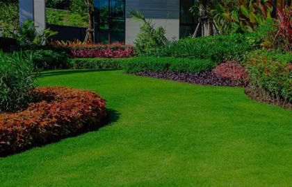Landscaping Company Fort Myers